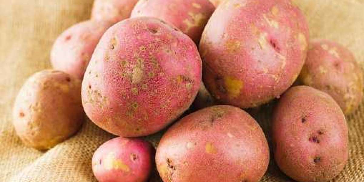 Potato protein market Players, Future Scope For Revenue By 2030