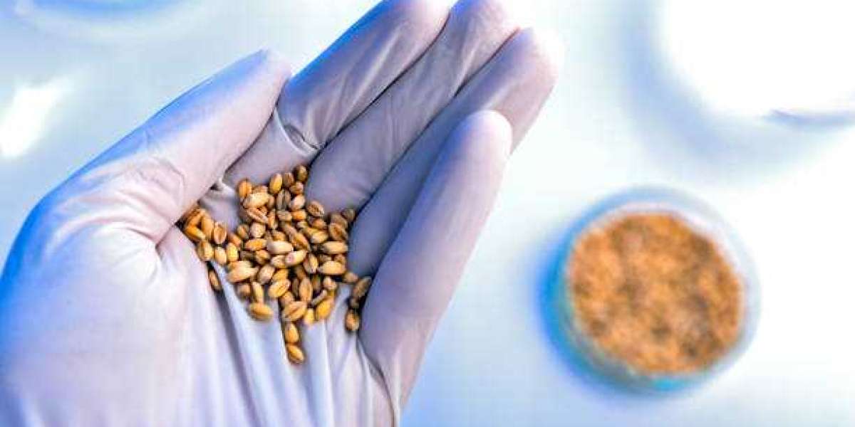 Transgenic Seeds Market Outlook, Size, Share, Growth, Trends, and Forecast 2030