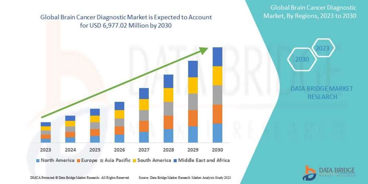 Brain Cancer Diagnostic Market, Applications and Market– Industry Analysis, Size, Share, Growth and Forecast 2030