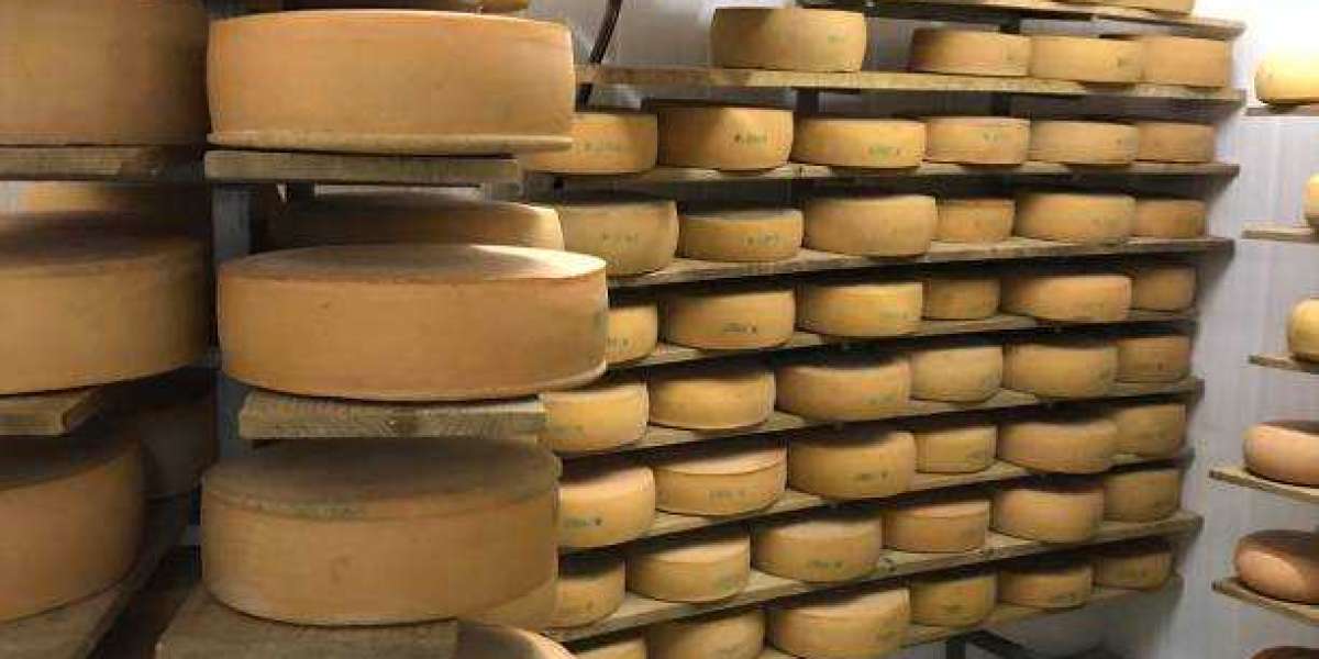 Whey Market insights,Growth Forecast Till 2030