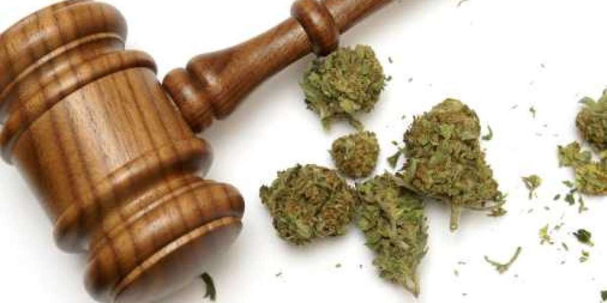 Legal Marijuana Market Key Segments, Growth Status and Forecast 2030