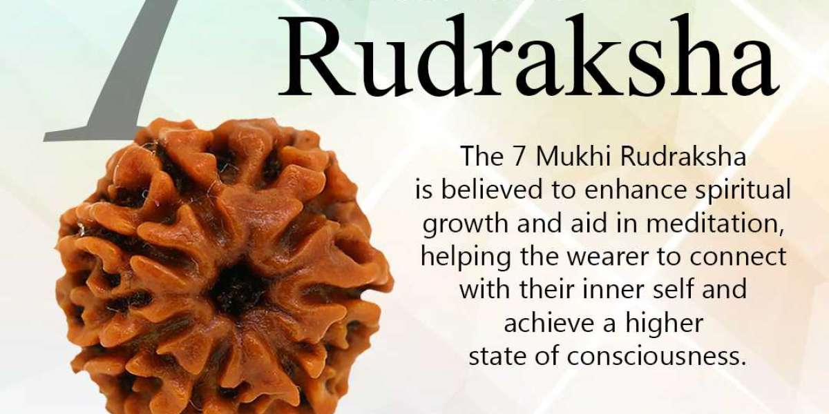 Shop 7 Mukhi Rudraksha Online At best Price