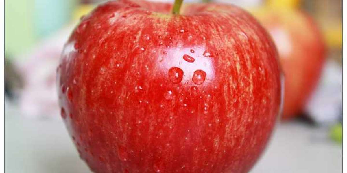 ball screw bk10 manufacturers