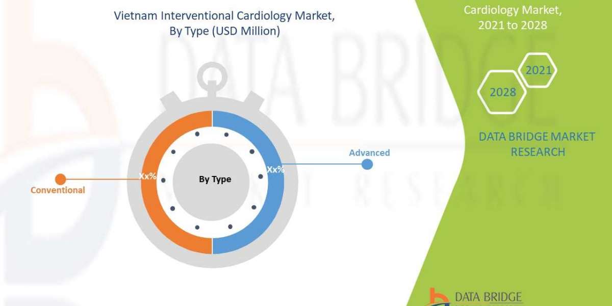 Vietnam Interventional Cardiology Market Precise, Powerful, & Measurable in 2028