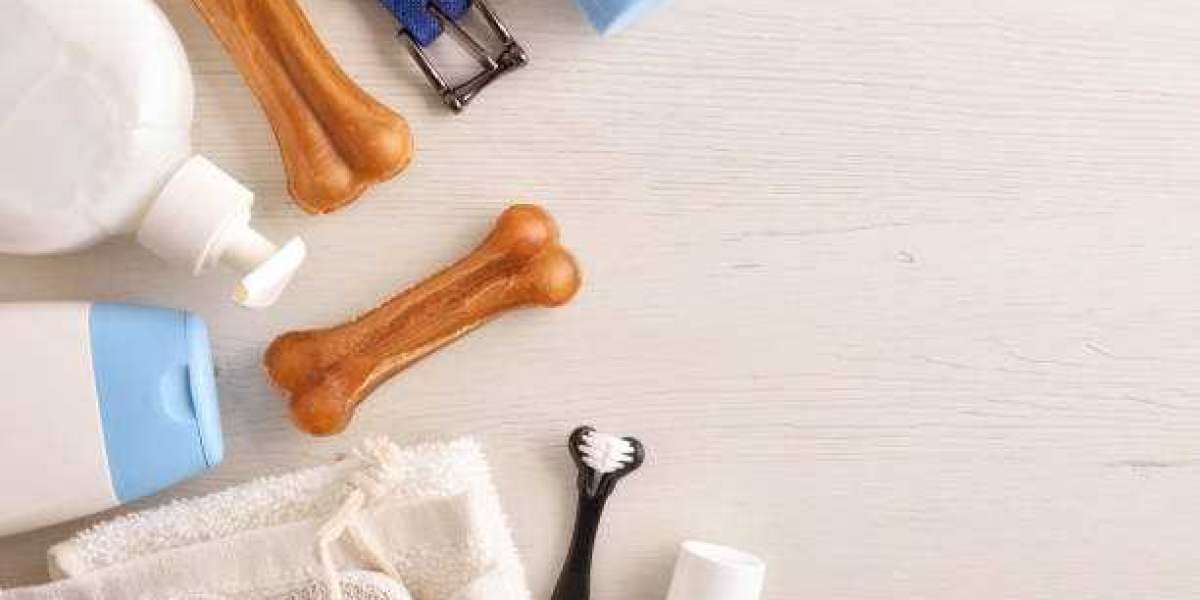 Pet Supplies Market Research, Growth, Revenue Share Analysis, Company Profiles, and Forecast Report by Market Research F