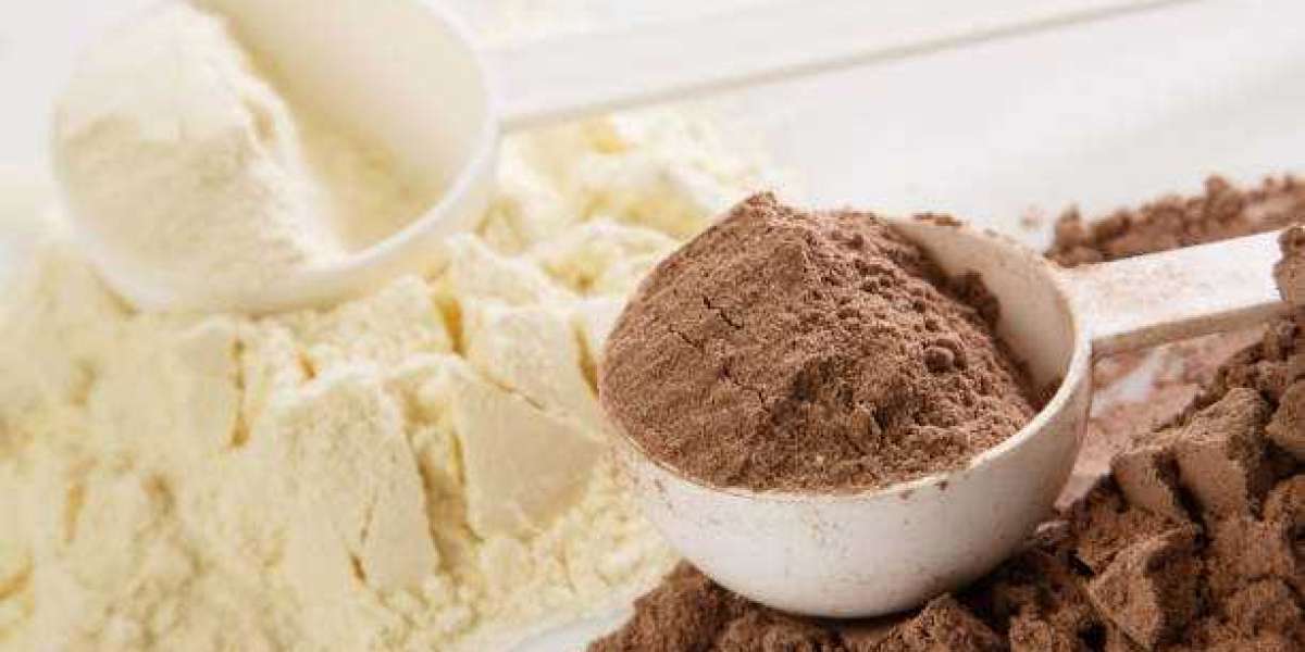 Egg Powder Food Market Share, Size and Forecast to 2030