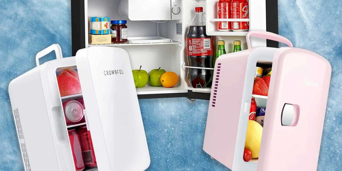 Portable Fridges Market Size, Future Forecasts, Growth Rate, And Industry Analysis To 2033