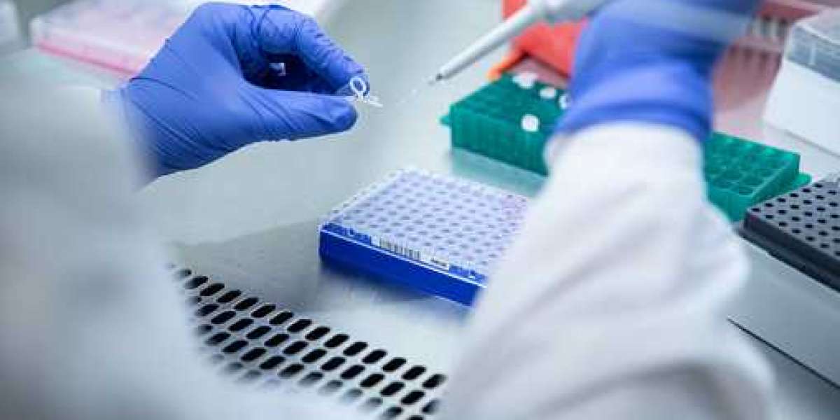 Bioanalytical Testing Services Market Through 2028 | Development, Upcoming Opportunity, and Growth Value - Charles River