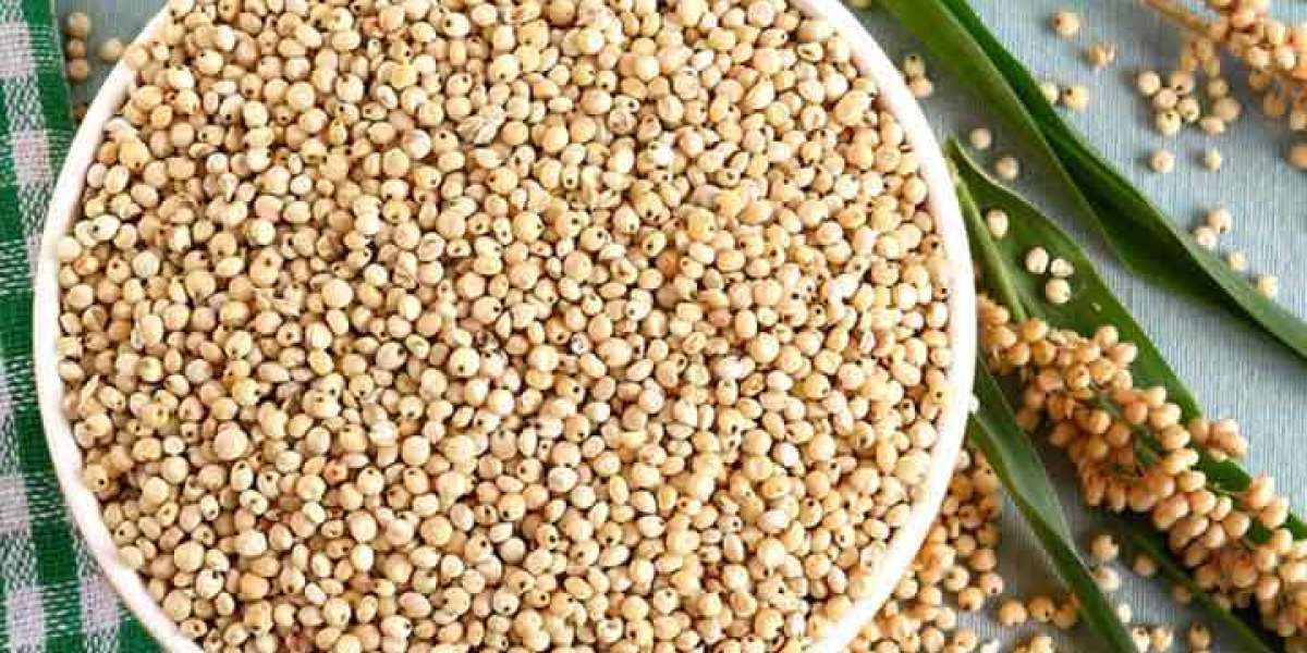 Sorghum Flour Market Growth Factors and Forecast 2026