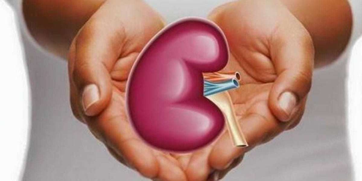 Kidney Transplant Market Outlook, Market Analysis, Growth and Forecast 2028