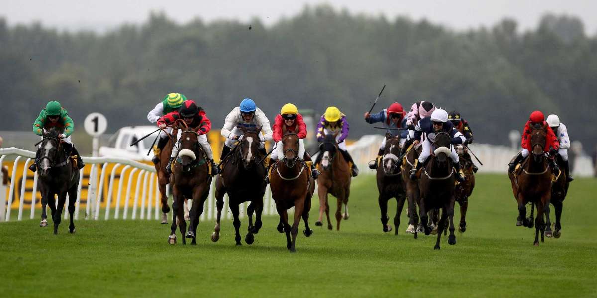 Jb Casino: Your One-Stop Destination for Horse Racing and Real Casino Experience