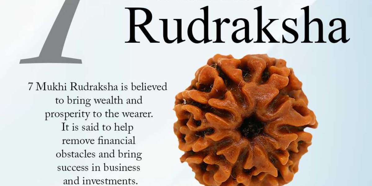 Shop 7 Mukhi Rudraksha Online At best Price