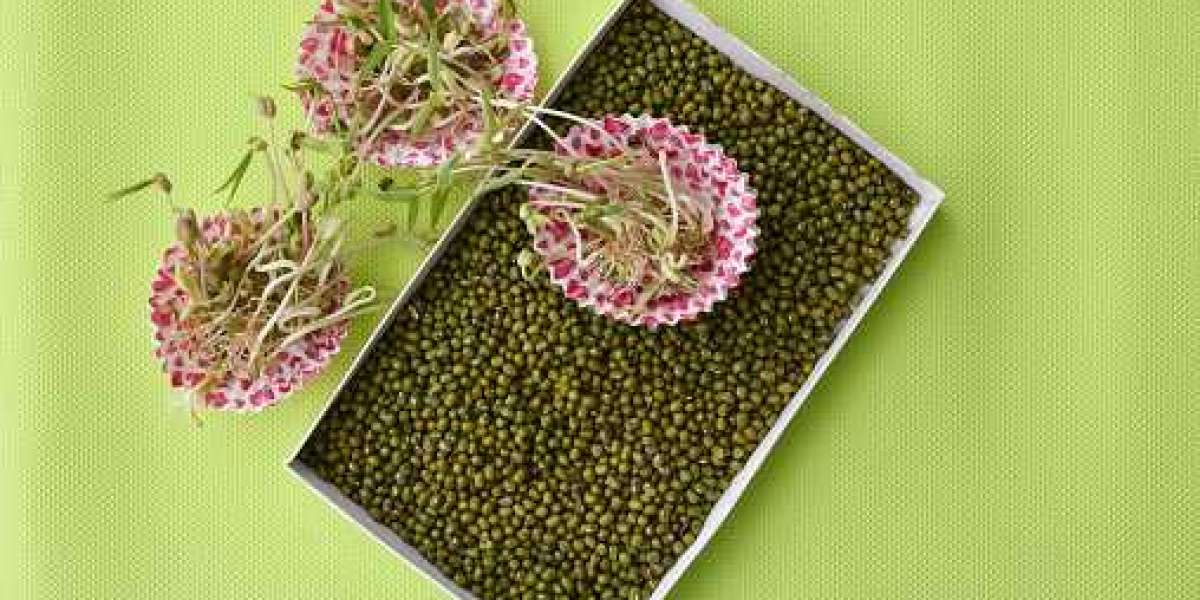 Feed Amino Acids Market Size, Restraints, Portfolio, and Forecast 2030