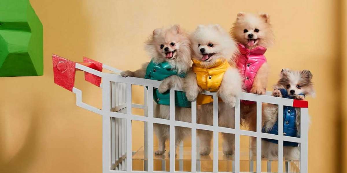 Pet Market Segmentation, Industry Outlook, Regional Analysis 2032….