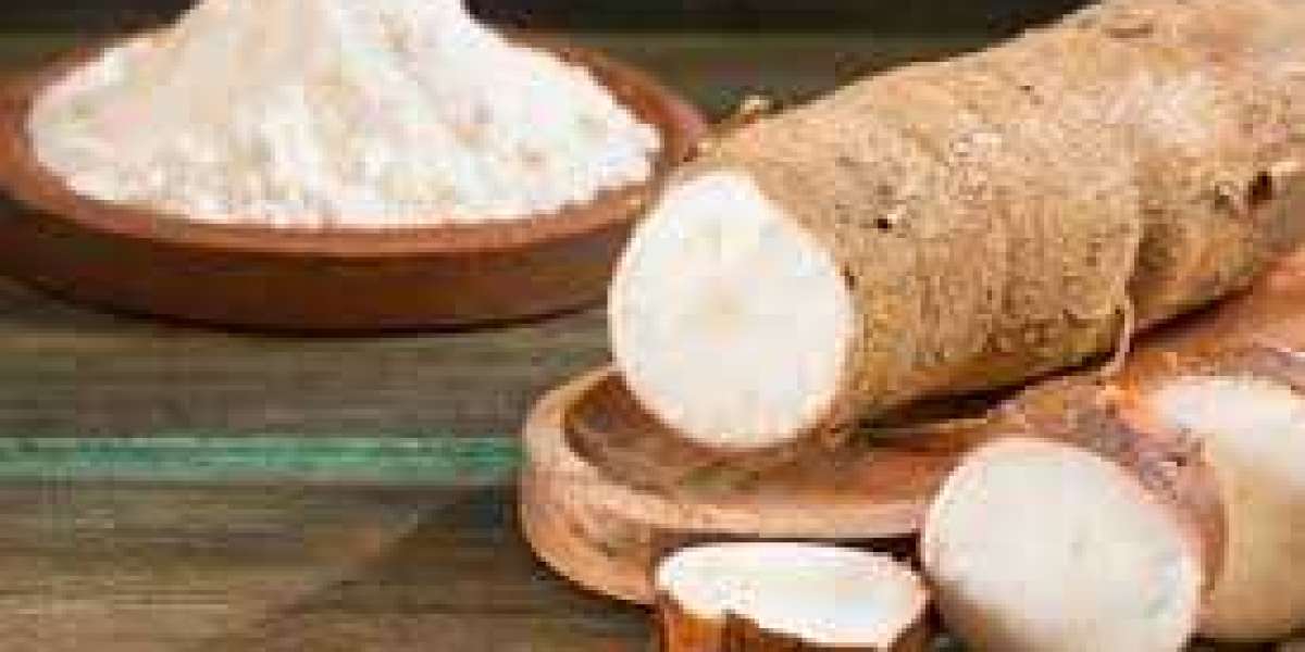 Native Starches Market: Regional Analysis, Key Players, and Forecast 2030