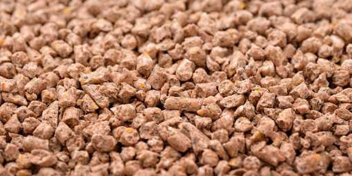 Compound Feed Market Overview, Growth, Competitor Analysis, and Forecast 2030