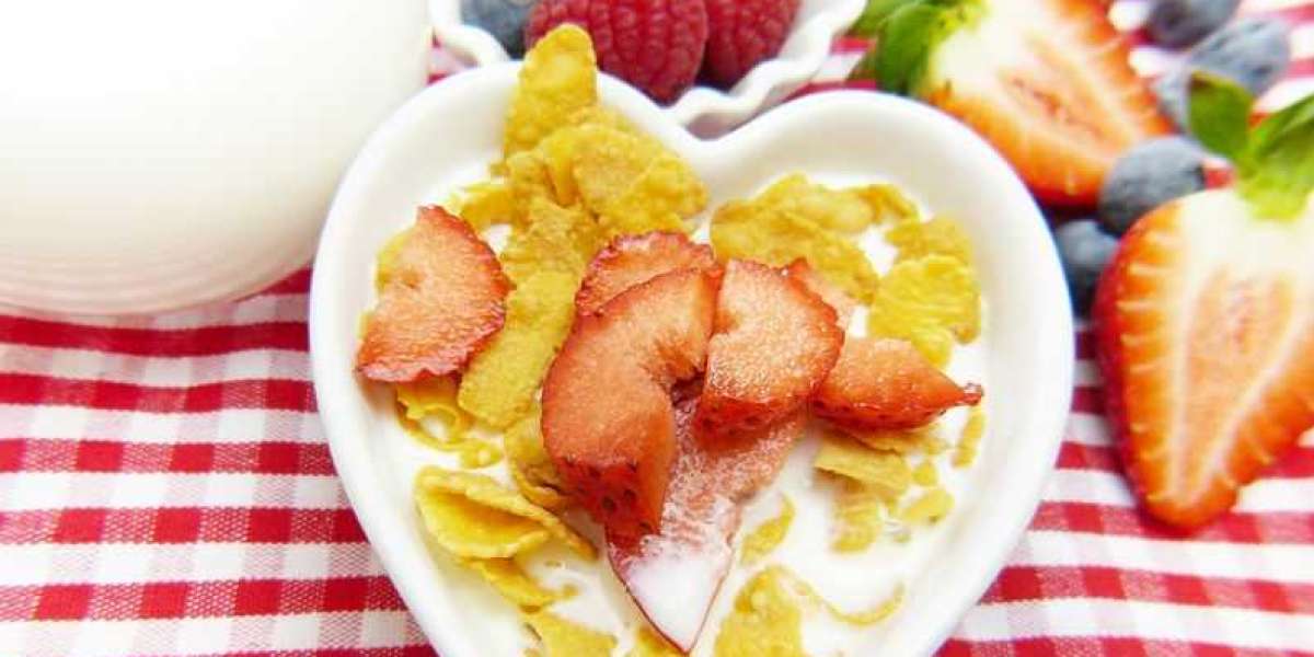 Lactose Free Foods Key Market Players Analysis by Statistics, and Forecast 2030