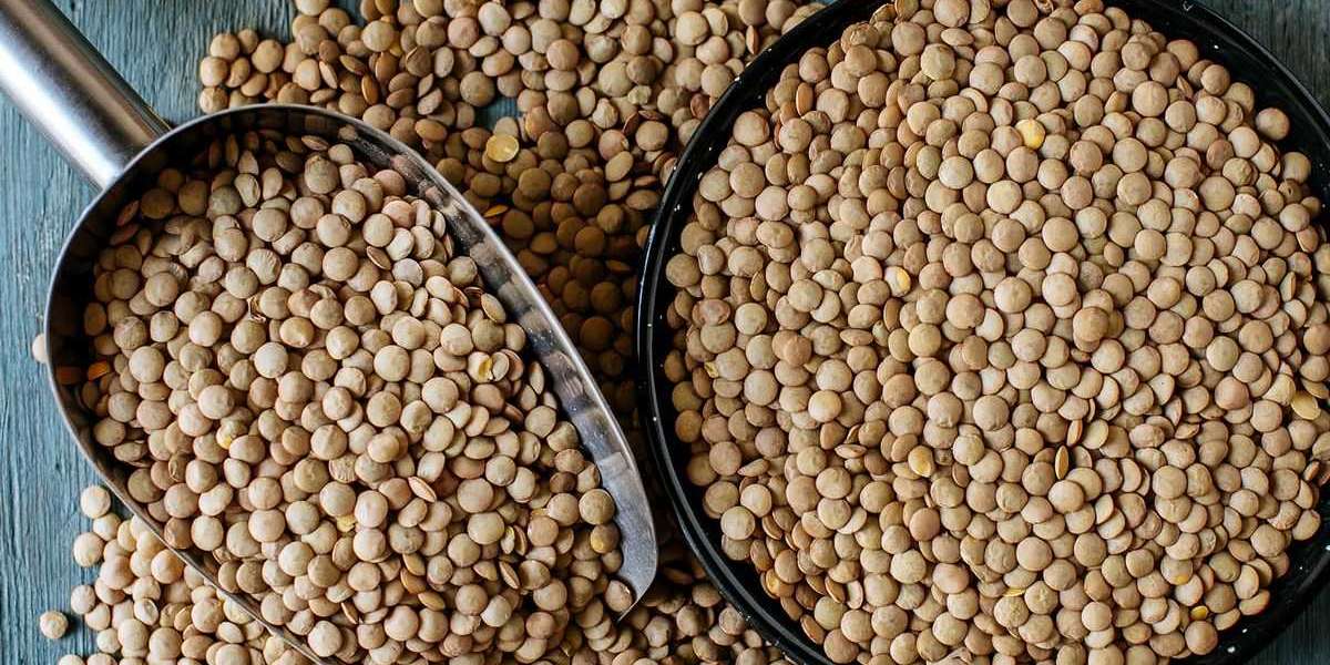 Red Lentil Market Research: Key Growth Drivers and Challenges and Forecast to 2026