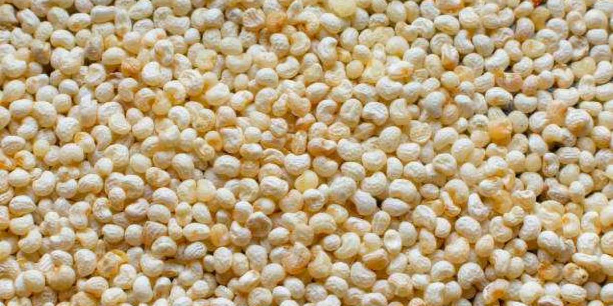 Oilseeds Market Outlook, Share, Opportunities, Industry Trends and Forecast to 2030