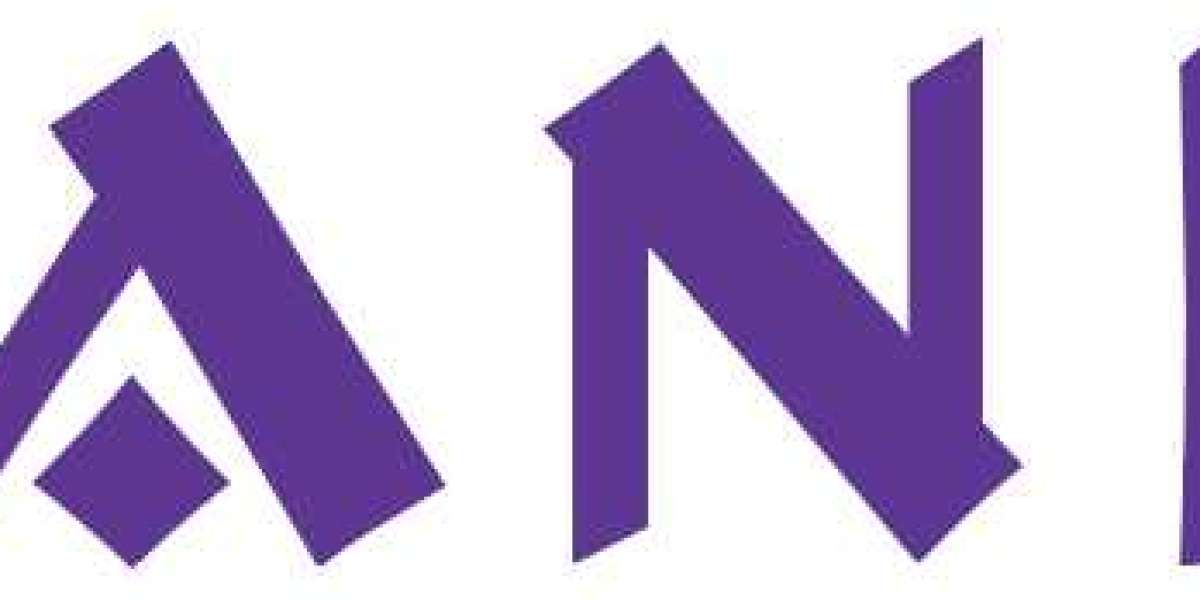 China Juice Blender Supplier: A Comprehensive Guide to Choosing the Best