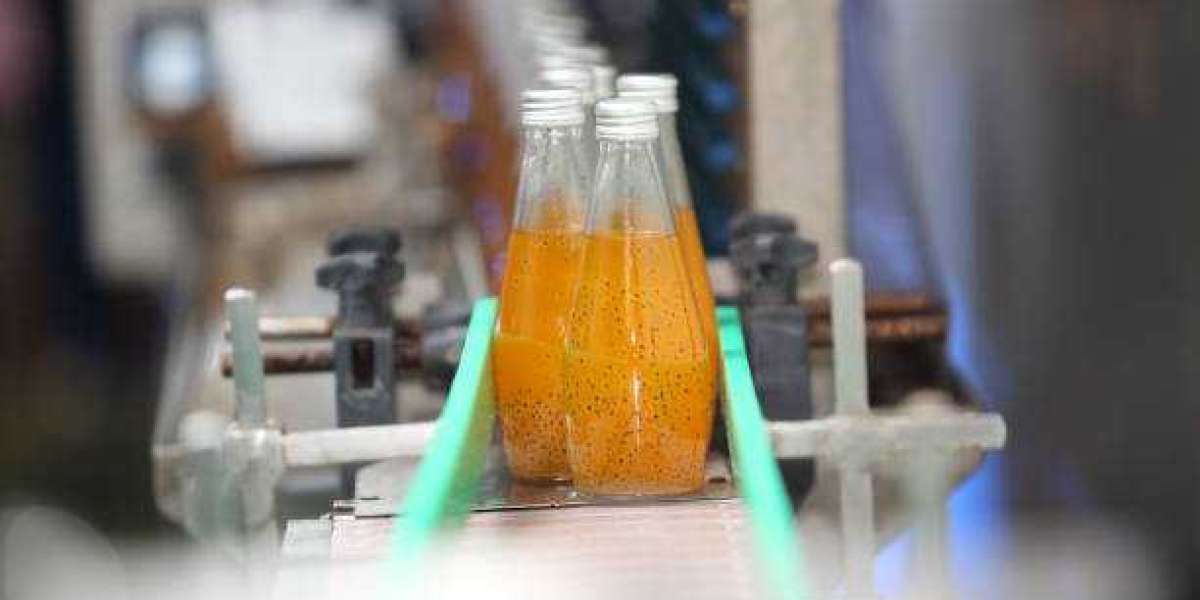 Key Fruit and Vegetable Processing Enzymes Market Players Revenue, Trends, Market Share Analysis, and Forecast to 2030