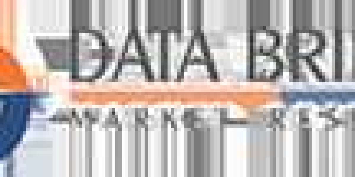 Egypt Syringes, Auto Disable Syringe and IV Cannulas Market Research: Market Segmentation and Competitive Analysis