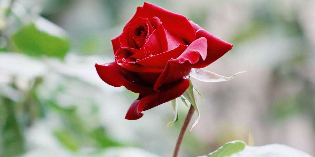 Wholesale Decorative Partition Panels