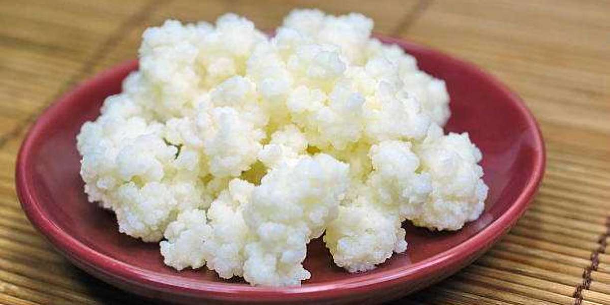 Kefir Market Share, Examining Recent Trends, Industry Size, Growth, Obstacles, and Opportunities