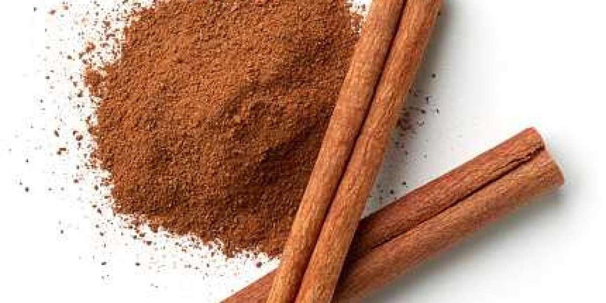 Organic Food Additive Market Insights, Rising Demand and Future Scope Till 2030