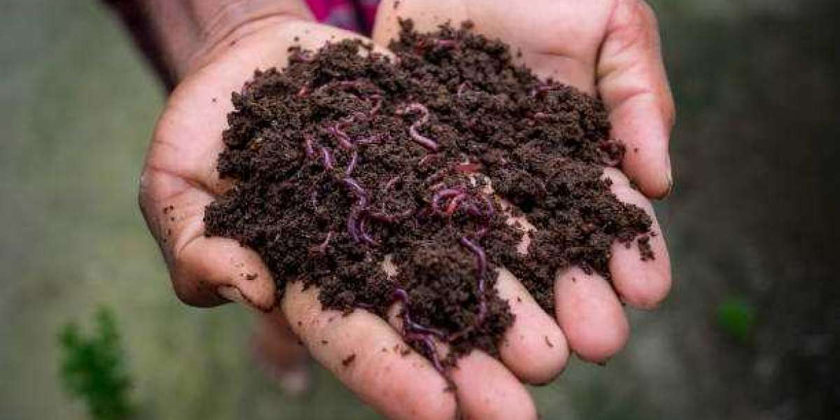 Soil Conditioners Market Report, Revenue, Trends, Growth Factors, Region Analysis & Forecast To 2030