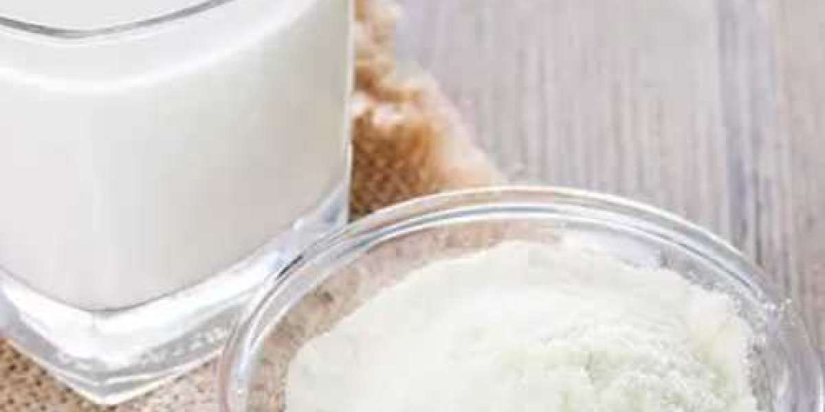 Skimmed Milk Yogurt Powder Market Opportunities and Forecast 2026