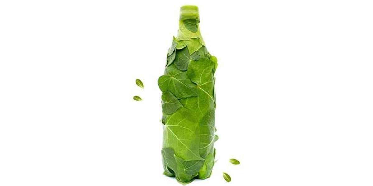 Biodegradable Water Bottle for Travel Market Dynamics, Major Players, Analysis and Forecast by 2028