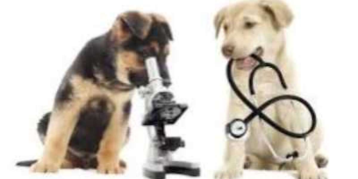 Veterinary Diagnostics Market: Global Industry Analysis, Size, Share, Growth, Trends, and Forecasts 2023-2030