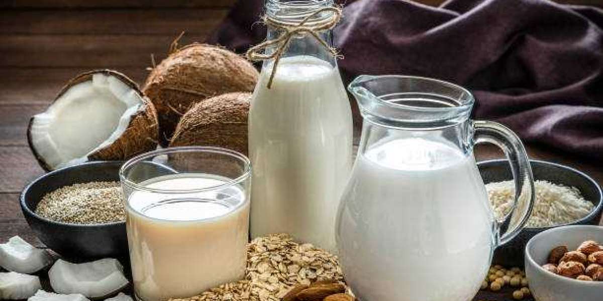 Key Dairy By-Products Market Players Revenue, Trends, Market Share Analysis, and Forecast to 2030