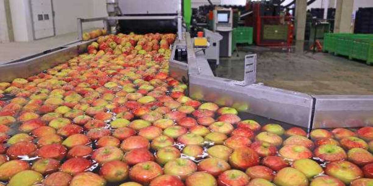 Fruit and Vegetable Processing Enzymes Market Research, Growth, Revenue Share Analysis, Company Profiles, and Forecast R