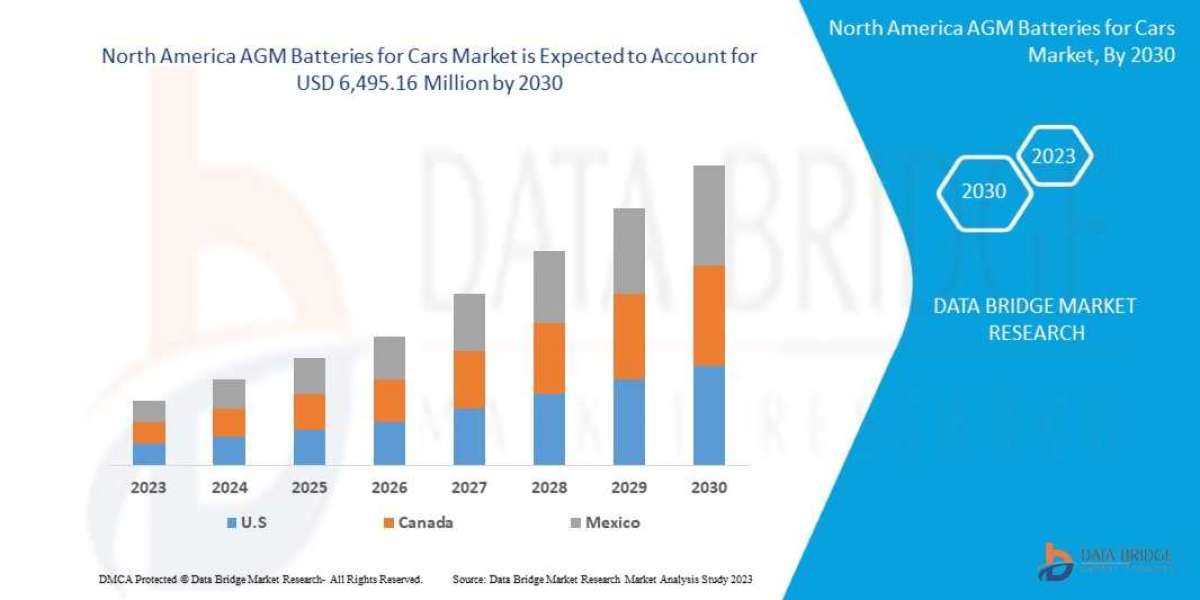 North America's AGM Battery Market for Cars Poised for Strong Growth Amid Shifting Consumer Preferences