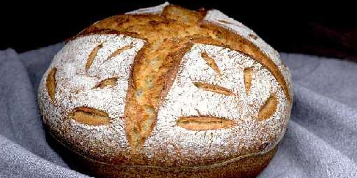 Sourdough Market Report, Size, Top Companies & Manufacturers Share, Growth, Trends, and Forecast 2030