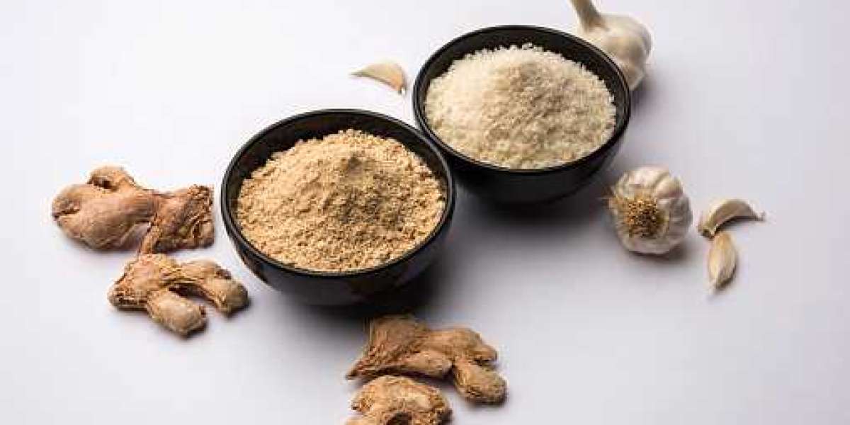 Garlic Extract Market Gross Margin by Profit Ratio of Region, and Forecast 2030