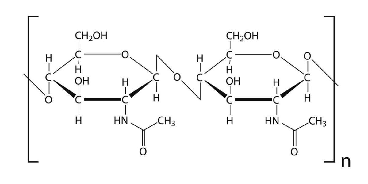 Chitin Market Growth Opportunities, Key Players And Regional Analysis Forecast By 2028