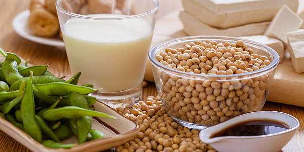Soy Food Market Report Present Scenario and Growth Prospects, Competition, Opportunities and Challenges forecast year 20