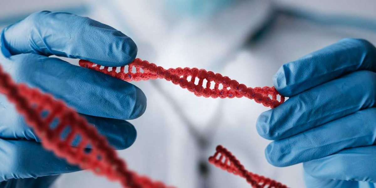 Ligase Market Trends, Research Report, Growth, Opportunities, Forecast 2022-2032