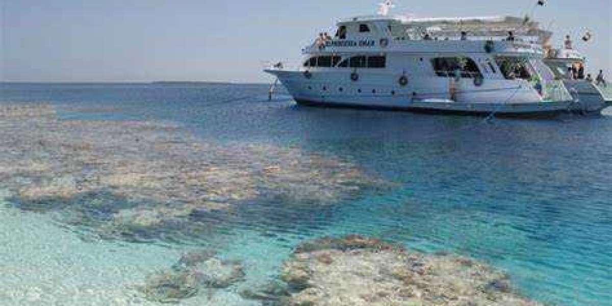 10 лучших туров и экскурсий в Хургаде