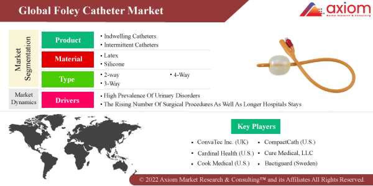 Global Foley Catheter Market Report Size, Share and Trends Analysis Report by Type, by Material and Segment Forecast 201