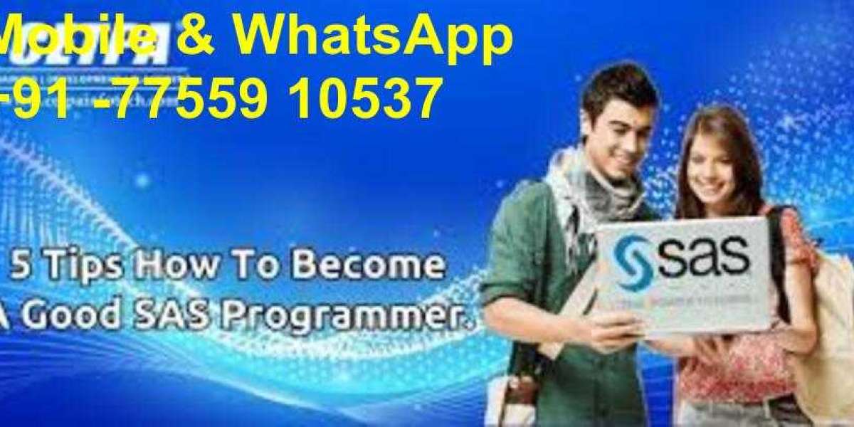 SAS Certification Exam