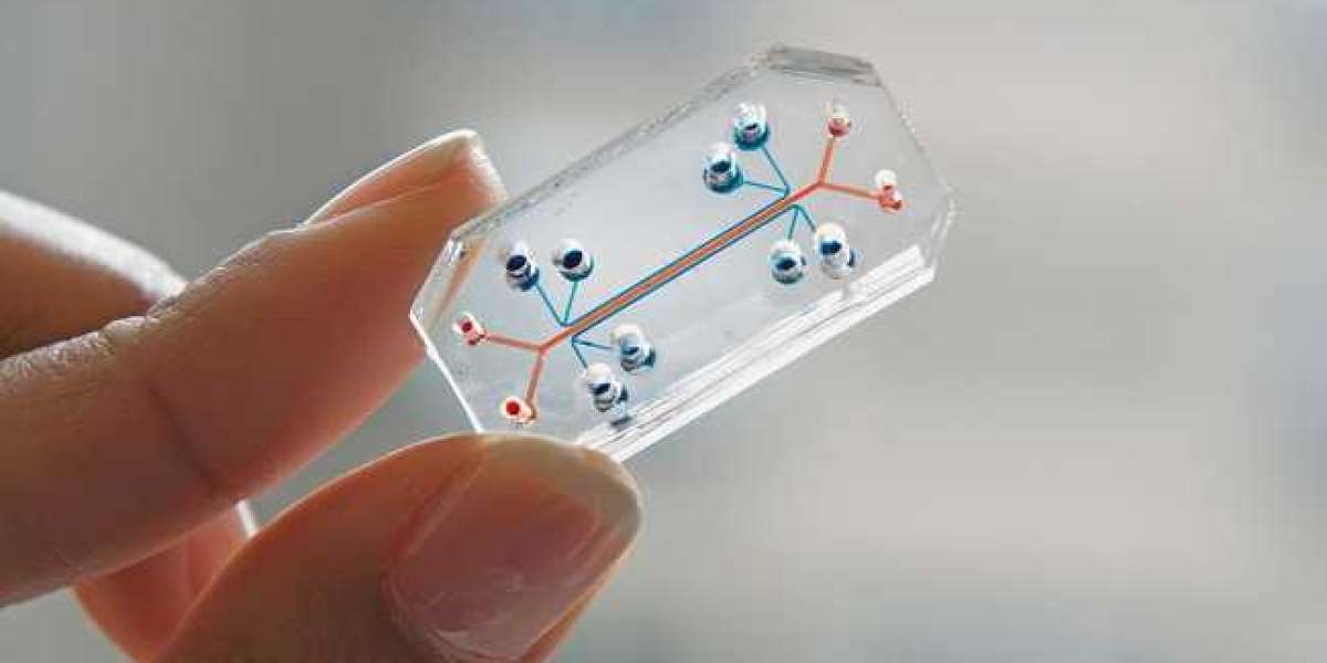 Utilizing Organ-On-A-Chip Technology, Hit-To-Lead Models Have Been Developed That Are Economical