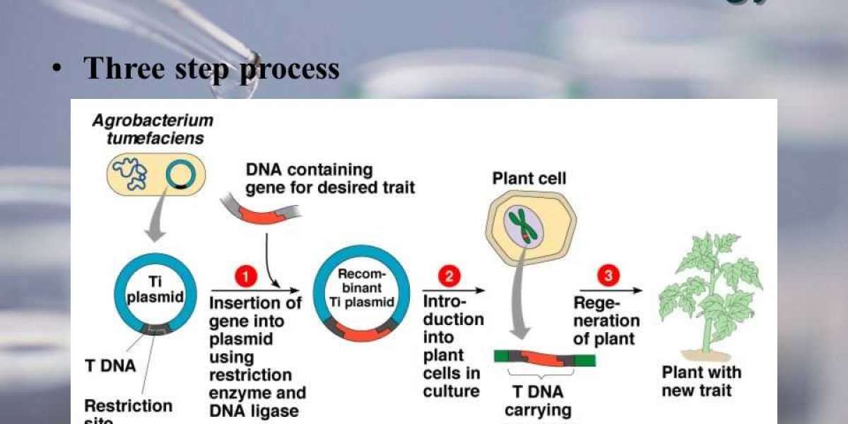The Ethical and Regulatory Considerations of Recombinant DNA Technology