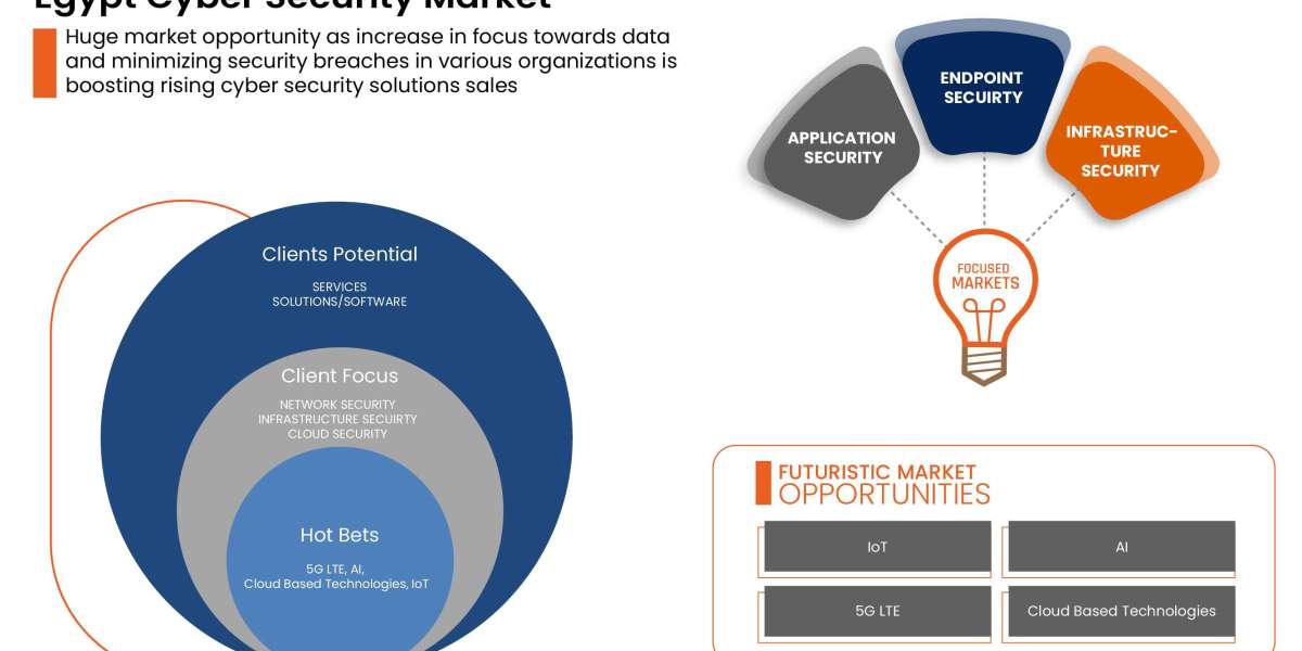 Egypt Cyber Security Market Analysis by Industry Perspective, Comprehensive Analysis, Growth and Forecast 2022 to 2029