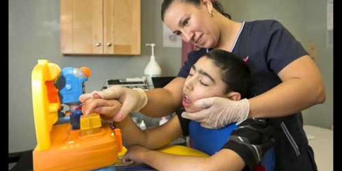 Challenges and Opportunities in Batten Disease Treatment: Perspectives from Healthcare Professionals and Researchers