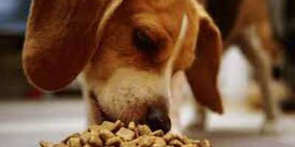 Feed Antioxidants Market Size, Share, Report by 2030