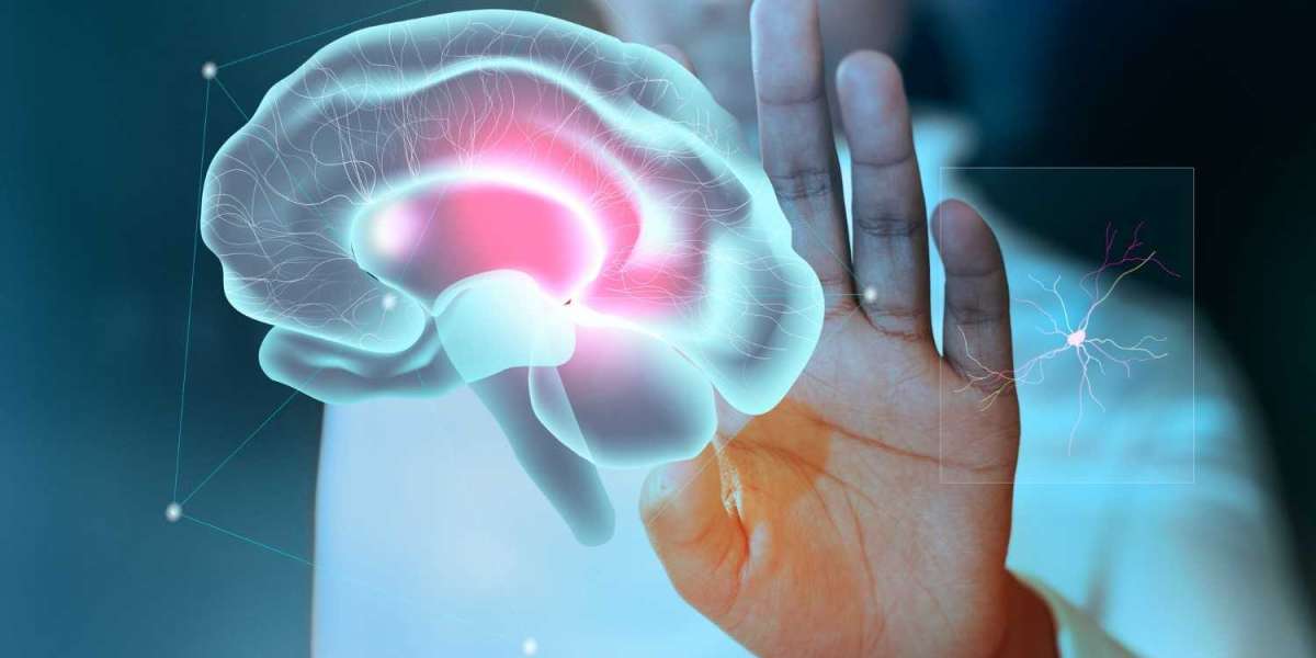 Narcolepsy Therapeutics Market size, trends, opportunities and Forecast to 2032